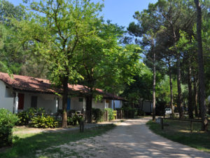 где остановиться в Венеции. Кемпинг