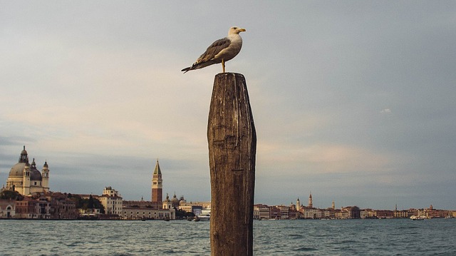 Noleggio Barche San Giuliano Venezia