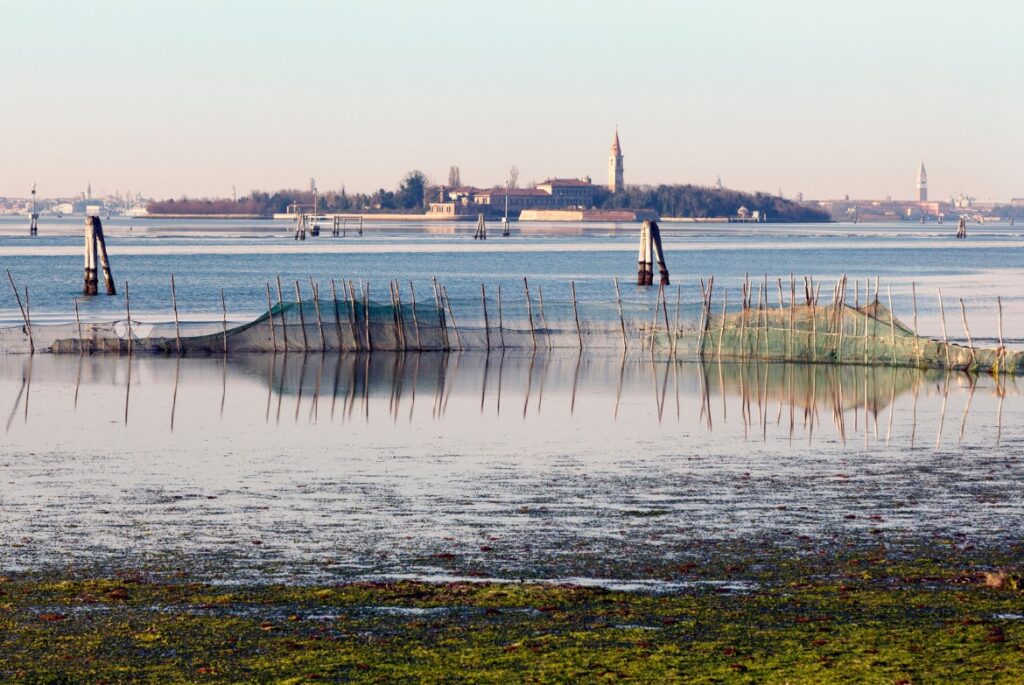 Isola Poveglia laguna veneta