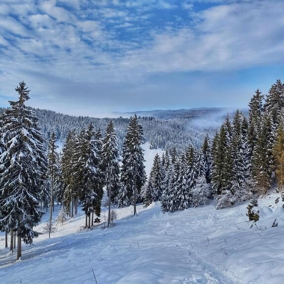 Cansiglio-inverno-foto-TdN