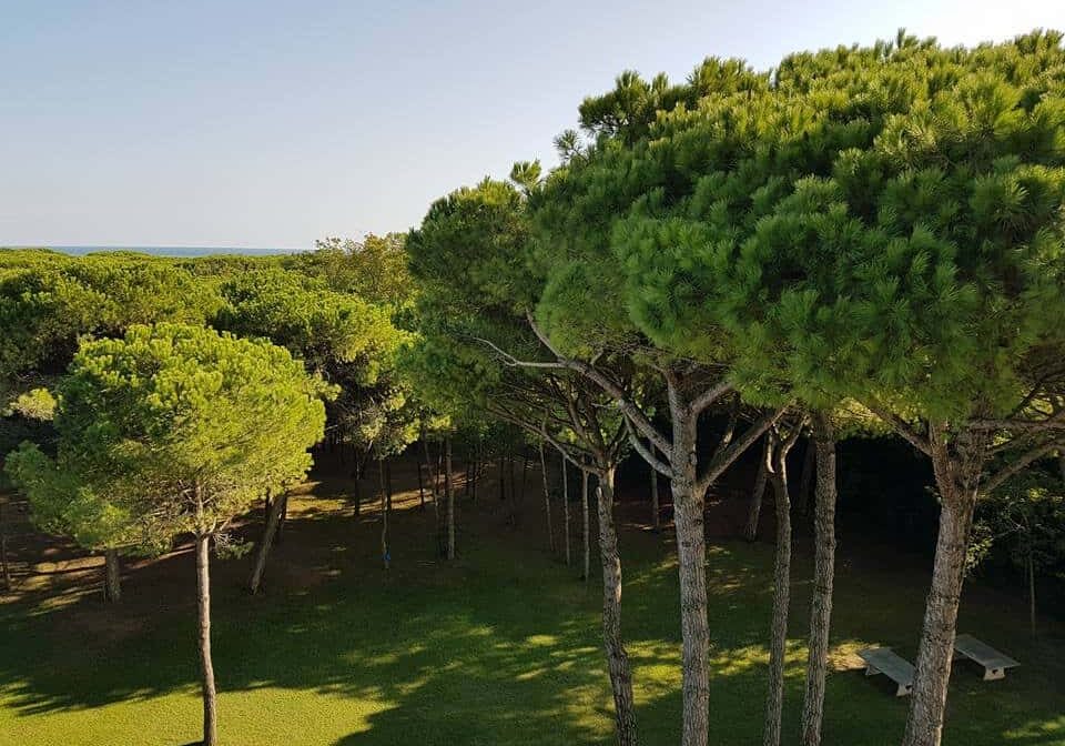 Eraclea Mare : Strand und viel Natur