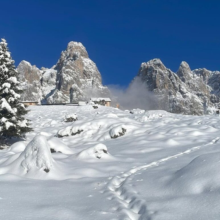 Capodanno Rifugio Malga Cavallera inverno panorama