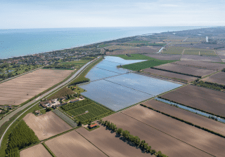 risaie-La-Fagiana-Eraclea-mare-rid