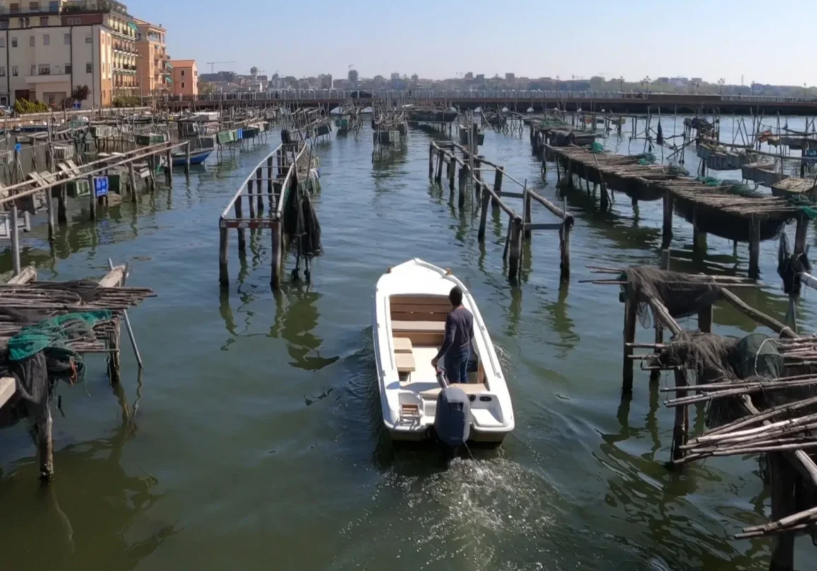 tour barca chioggia laguna e racconti pesca
