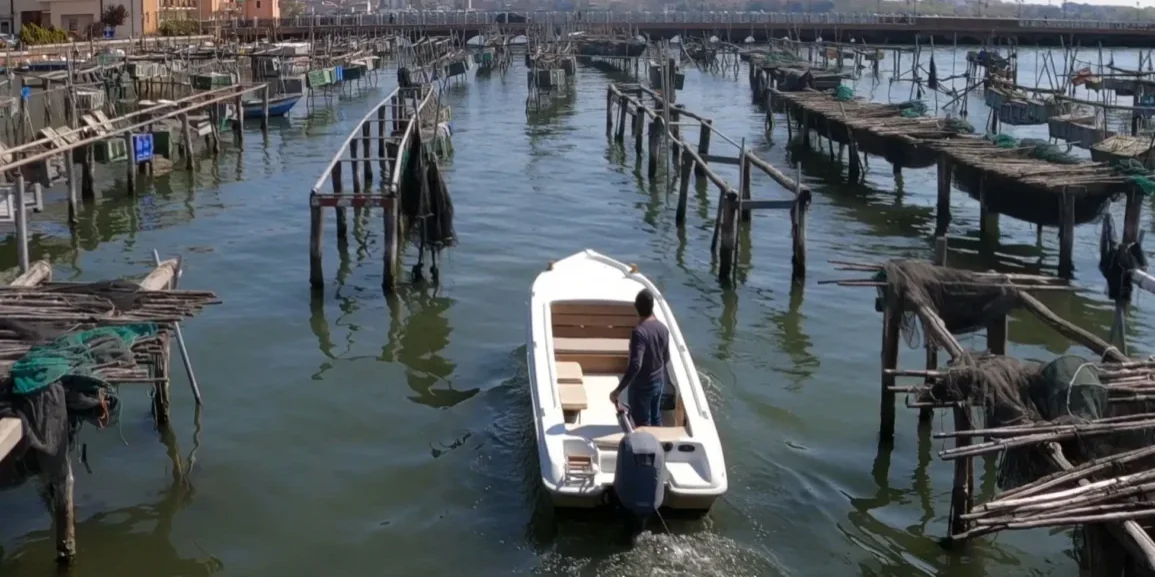 tour barca chioggia laguna e racconti pesca