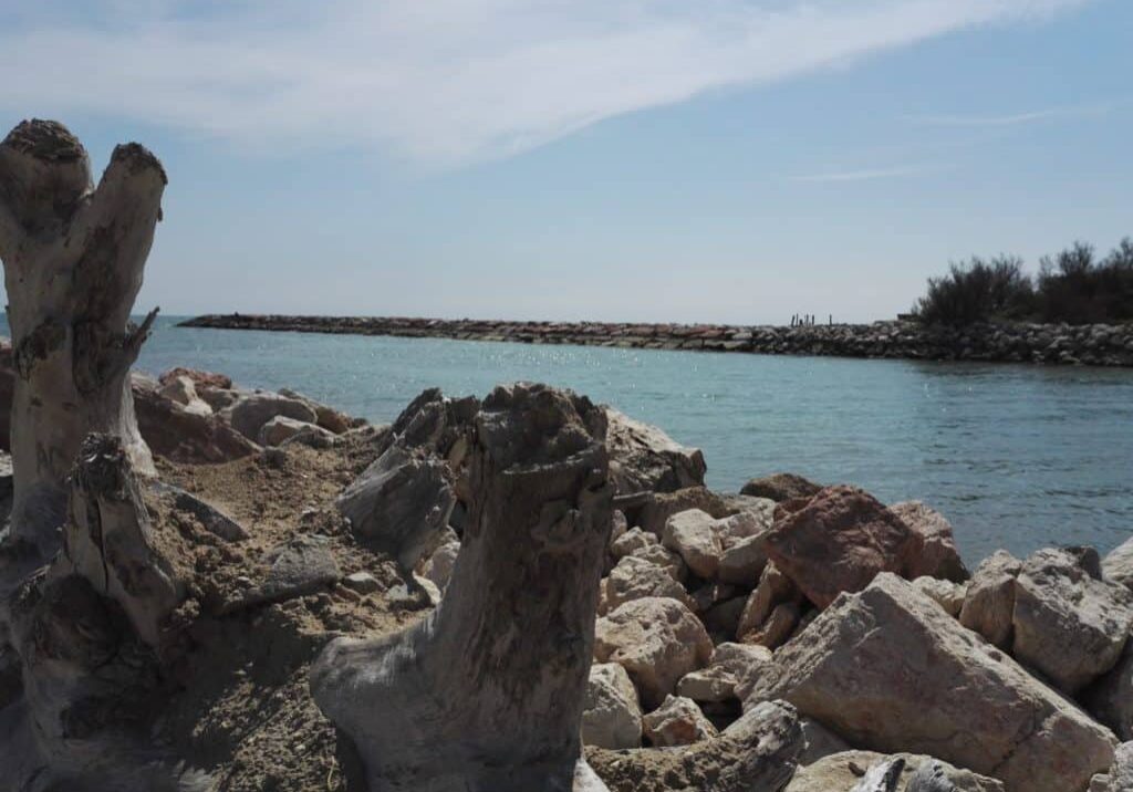Laguna del Mort - Eraclea mare
